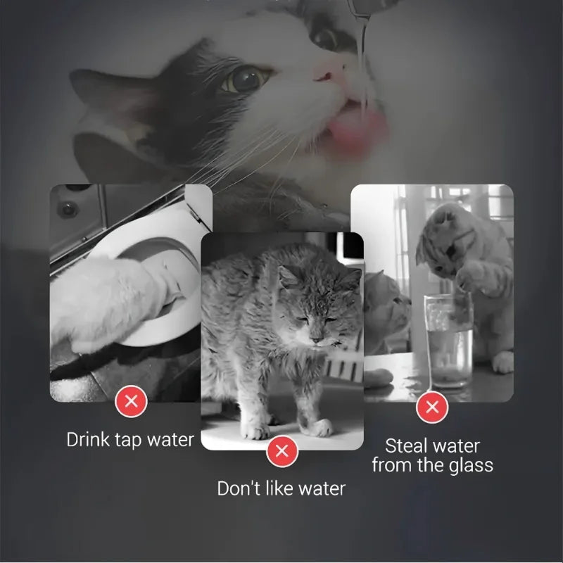 Original Automatic Cat Drinking Water Fountain ( Large )