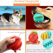 Rubber Ball - Dental Chew Toy