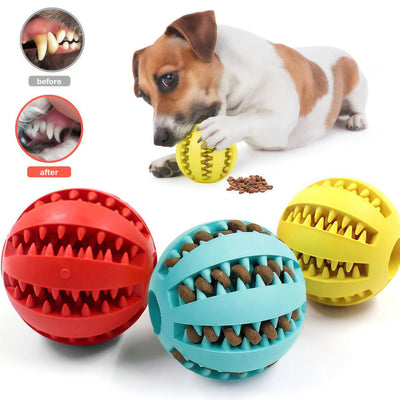 Rubber Ball - Dental Chew Toy