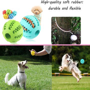 Rubber Ball - Dental Chew Toy