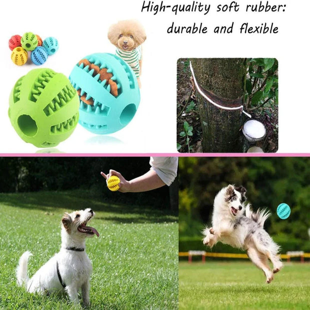 Rubber Ball - Dental Chew Toy