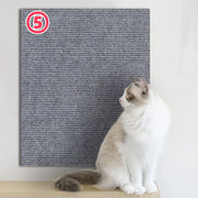 Safe Scratch - Furniture Protector