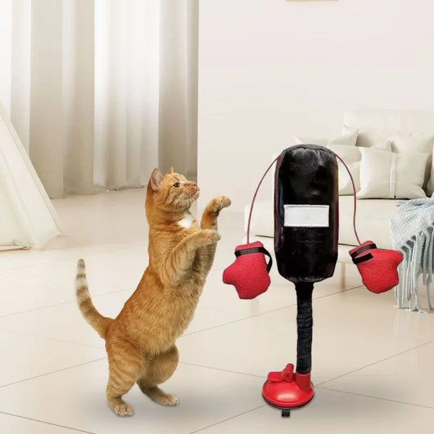 CatBoxer™ – Funny Decompression Toy for Curious Cats