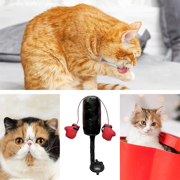 CatBoxer™ – Funny Decompression Toy for Curious Cats