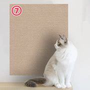 Safe Scratch - Furniture Protector