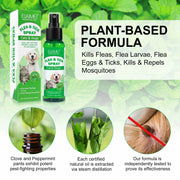 PuraPaws™ — Natural Flea & Tick Defense