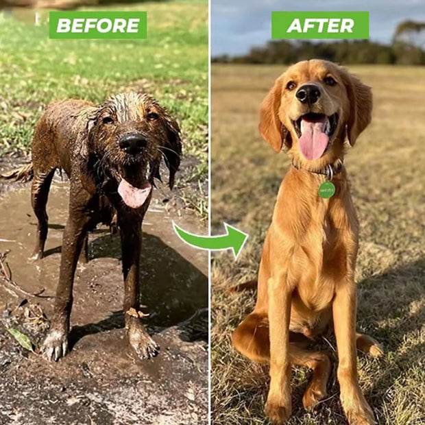 AquaPaws™ — The Luxe Way to Wash Your Pet