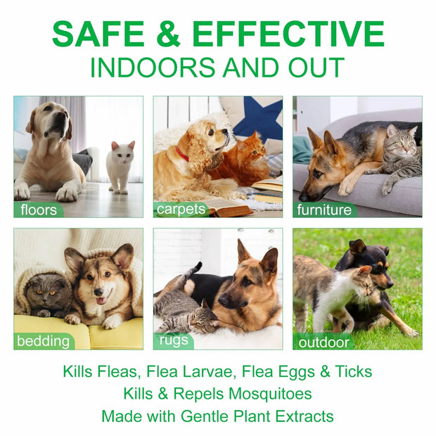 PuraPaws™ — Natural Flea & Tick Defense