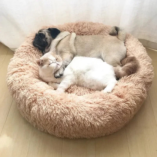 Tailtopia - Anxiety Relieving Dog Bed