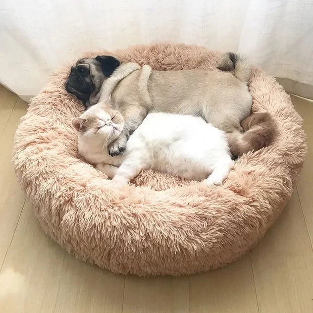 Tailtopia - Anxiety Relieving Dog Bed