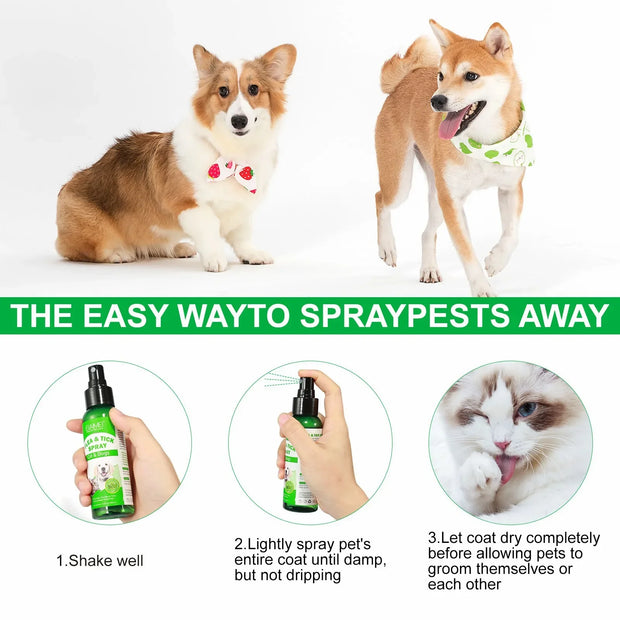 PuraPaws™ — Natural Flea & Tick Defense