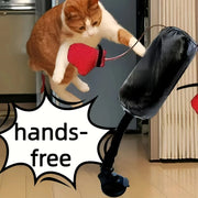 CatBoxer™ – Funny Decompression Toy for Curious Cats