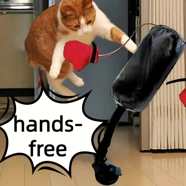 CatBoxer™ – Funny Decompression Toy for Curious Cats